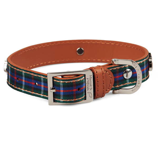 Designer Dog Collar Highland Blue Tartan Dog Collar Hamish