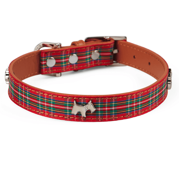 Tartan dog clearance collar and lead