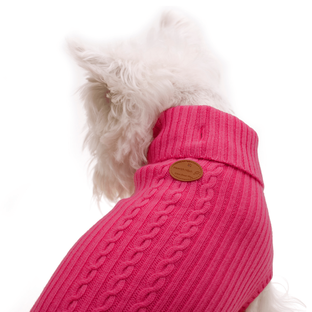 Pink dog outlet jumper uk