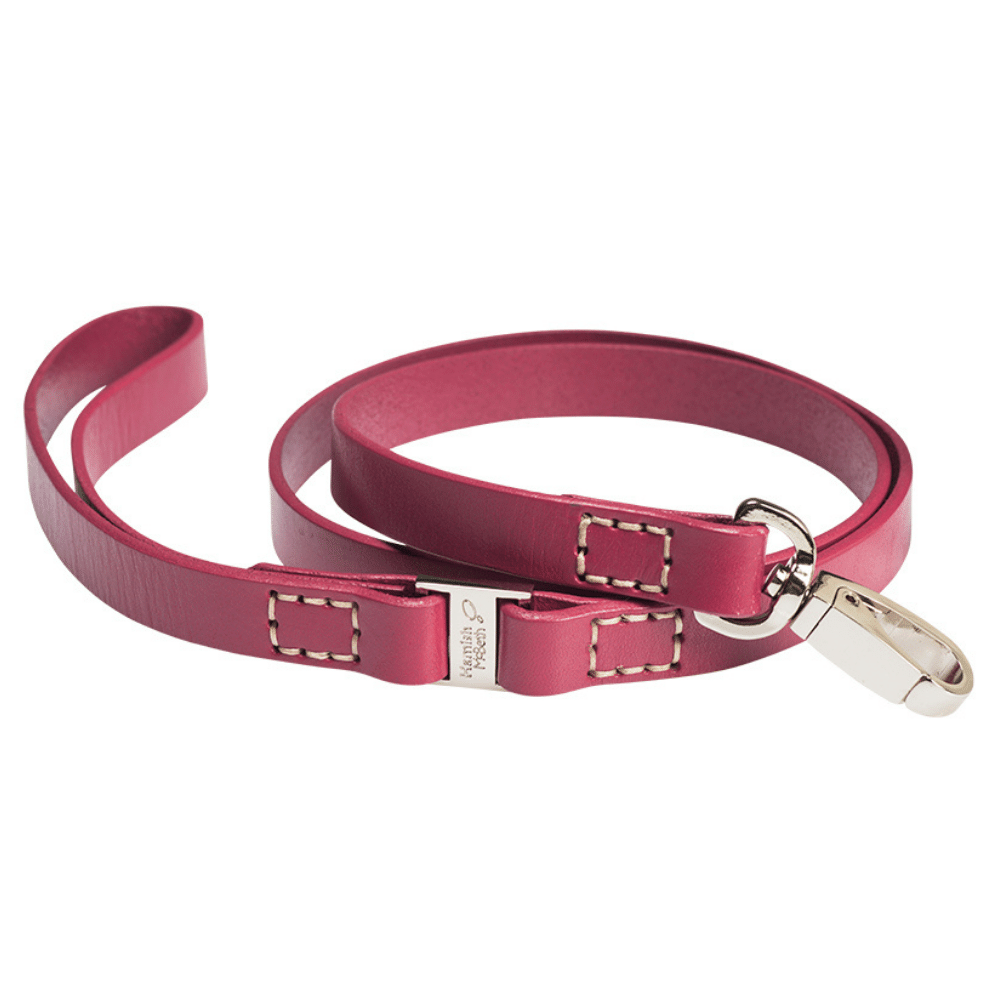 Pink leather shop dog lead