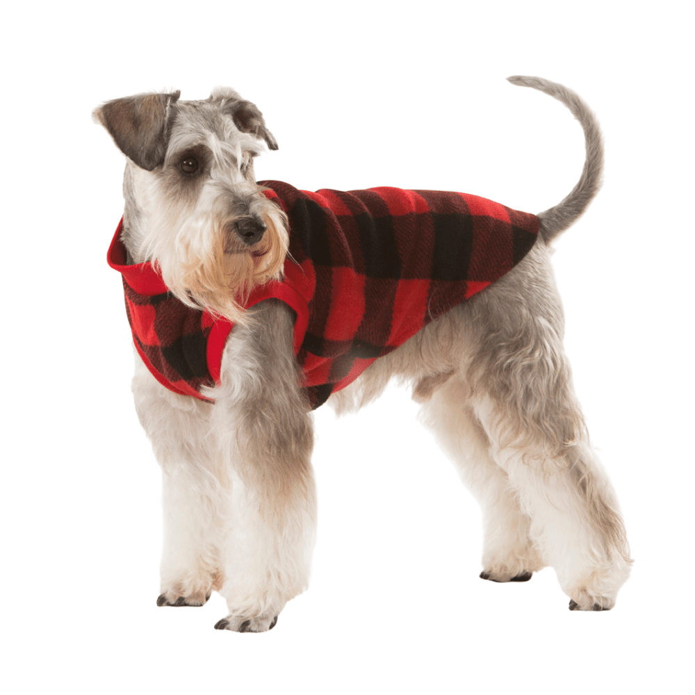 Miniature store schnauzer pyjamas