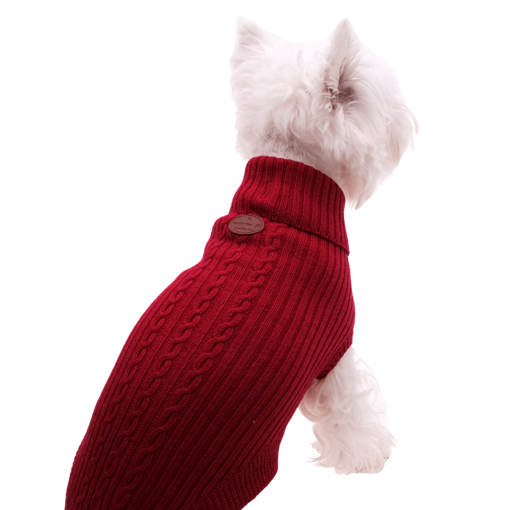 Maroon dog outlet sweater